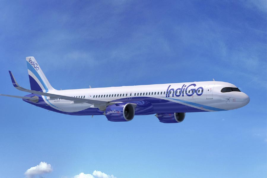 বিমানের ভেতরে ইঁদুর, বিমানবন্দরে ৩ ঘণ্টা আটকা ইন্ডিগোর ফ্লাইট